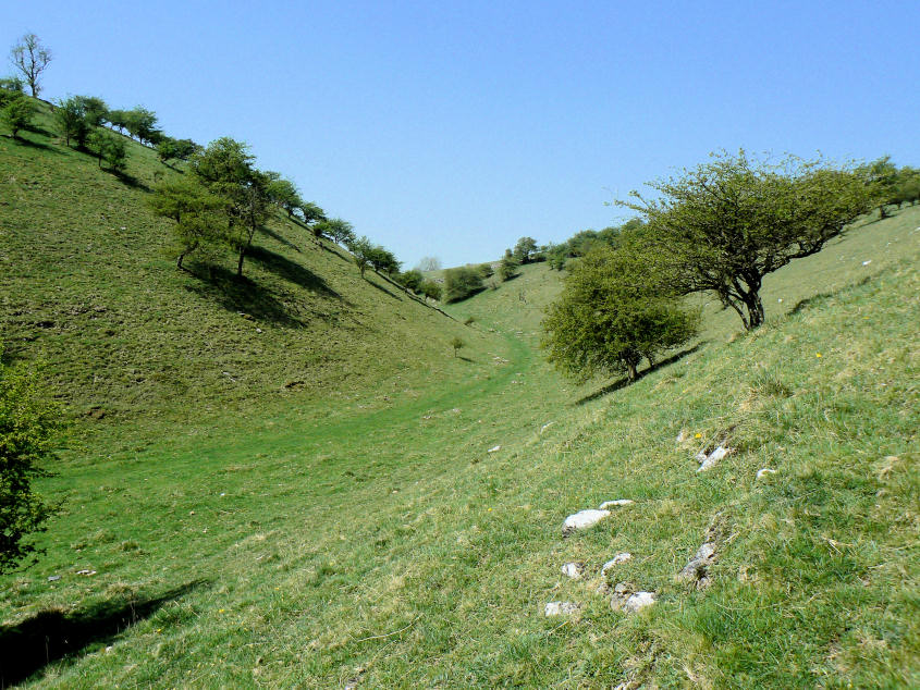High Dale High Dale